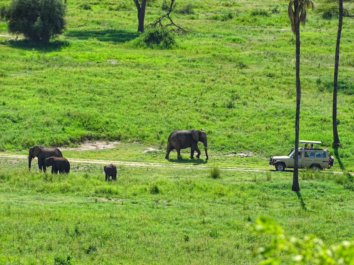 Mazzola Safari House&Backpacking Hotell Arusha Exteriör bild