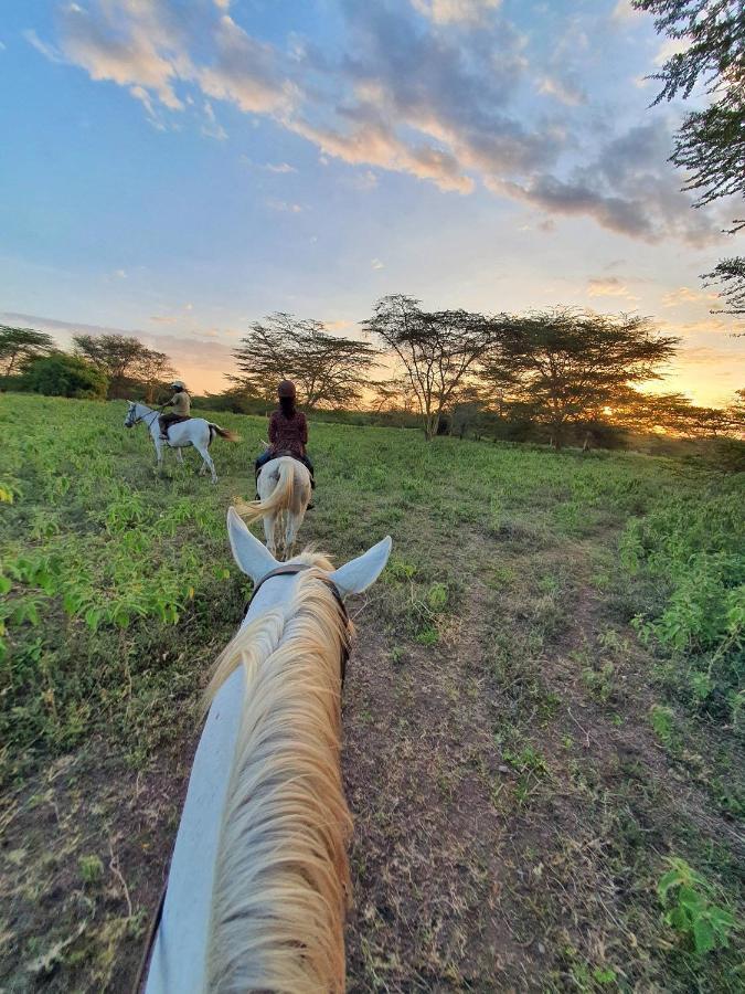 Mazzola Safari House&Backpacking Hotell Arusha Exteriör bild